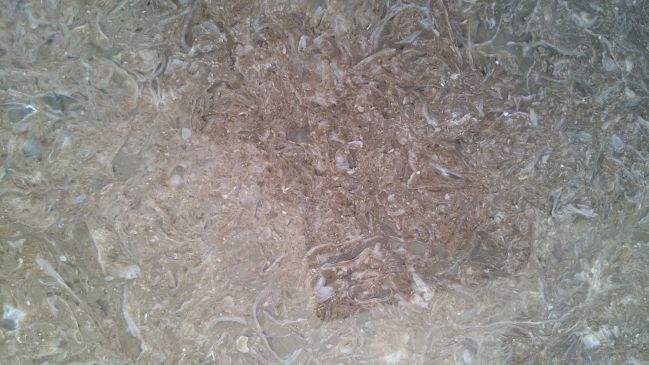 Stone Finish 11